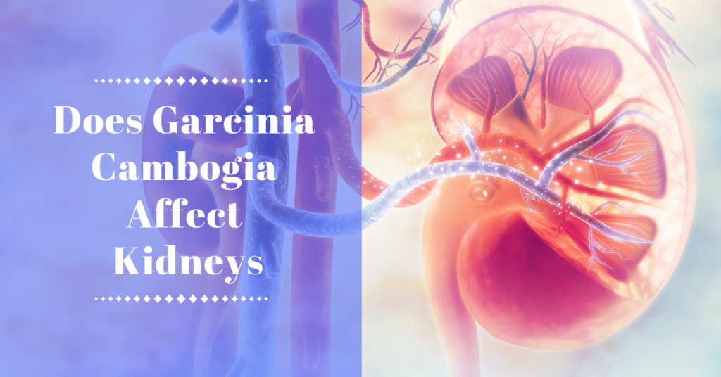 Does Garcinia Cambogia Cause Kidney Problems