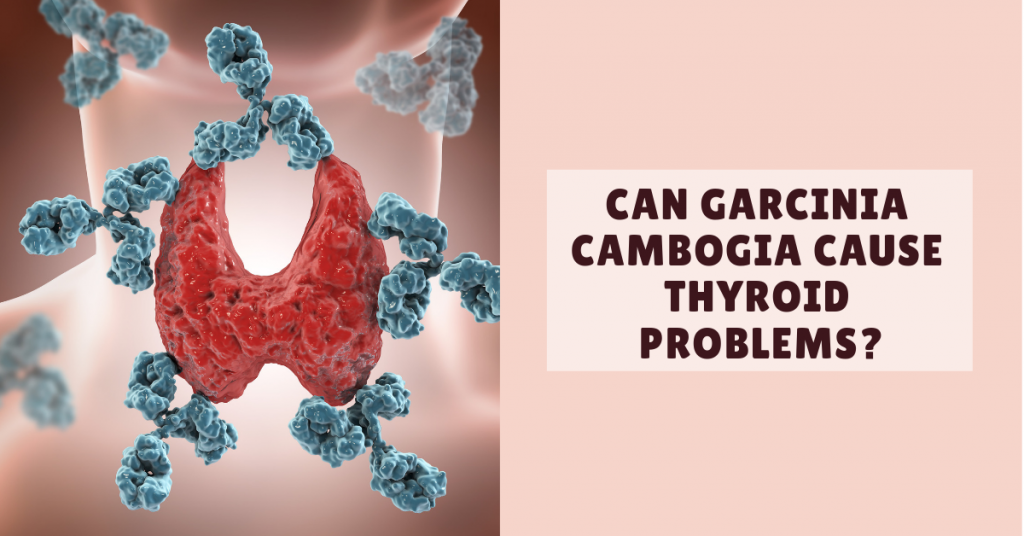 Garcinia Cambogia and Thyroid Problems
